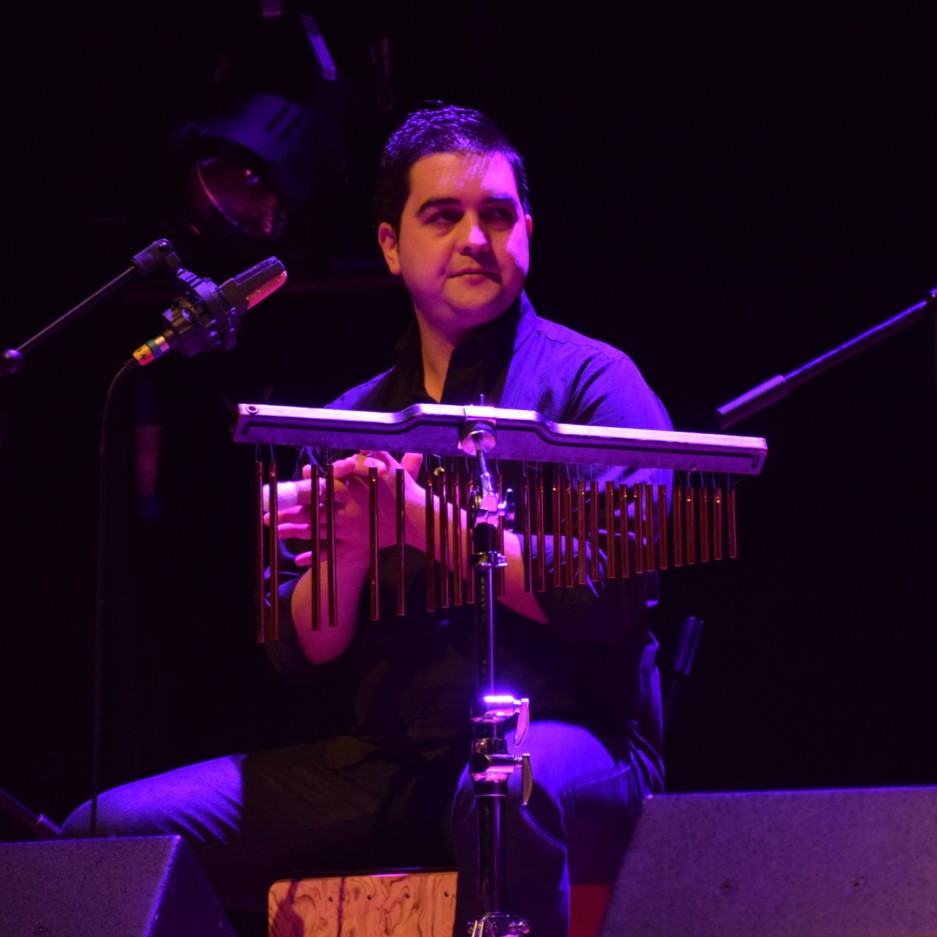 Jonathan Borja (Percusión)